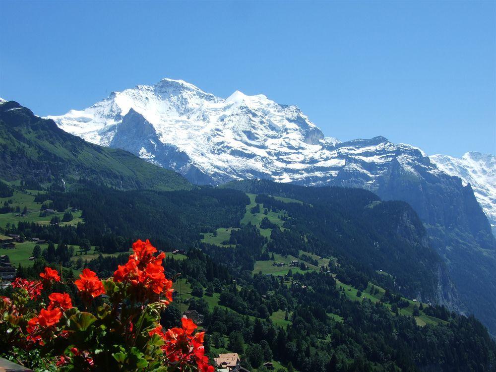 Minotel Bellevue Wengen Exterior foto
