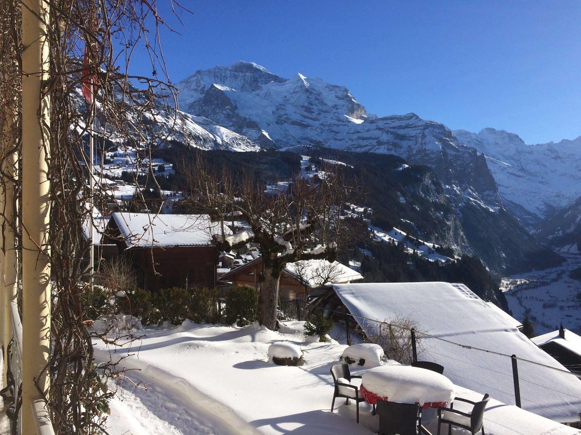Minotel Bellevue Wengen Exterior foto